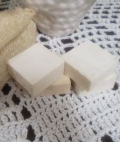 Foto - Vera Lucia Gonçalves 