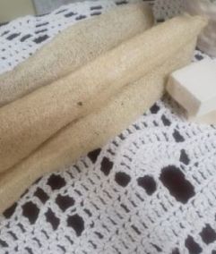 Foto - Vera Lucia Gonçalves 