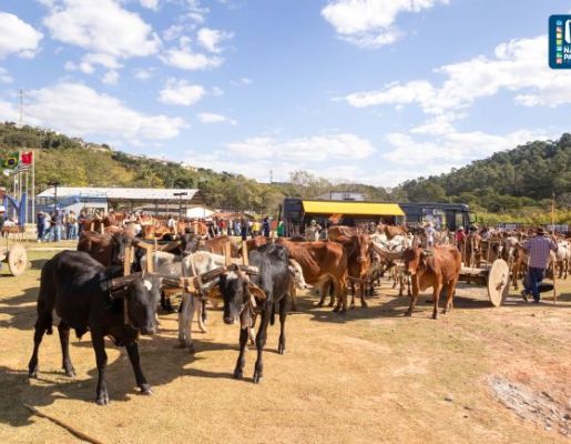 Foto - Chegada da Paçoca 2023