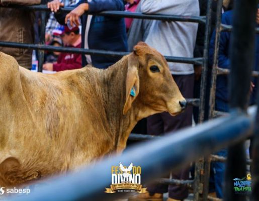 Tradicional Leilão de Prendas - Festa do Divino 2023