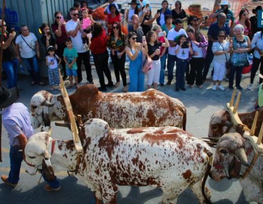 Foto - Chegada da Paçoca 2023