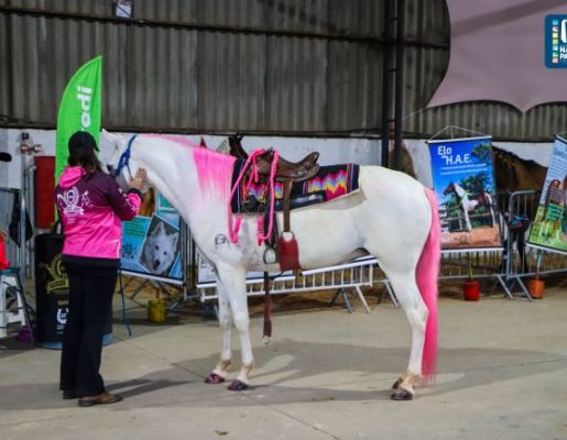 Foto - VEJA COMO FOI O 1º DIA DA EXPO RURAL 2023 DE NAZARÉ PAULISTA