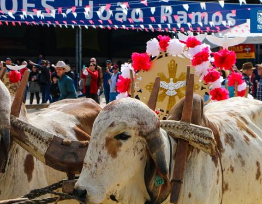 Foto - Chegada da Paçoca emociona Nazaré Paulista com fé, tradição e música no início da Festa do Divino 2025