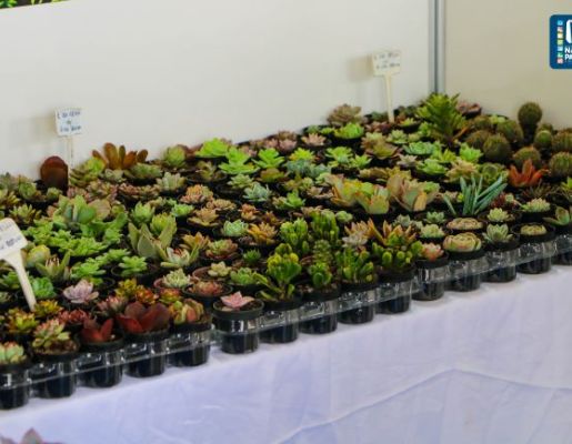 Foto - VEJA COMO FOI O 1º DIA DA EXPO RURAL 2023 DE NAZARÉ PAULISTA