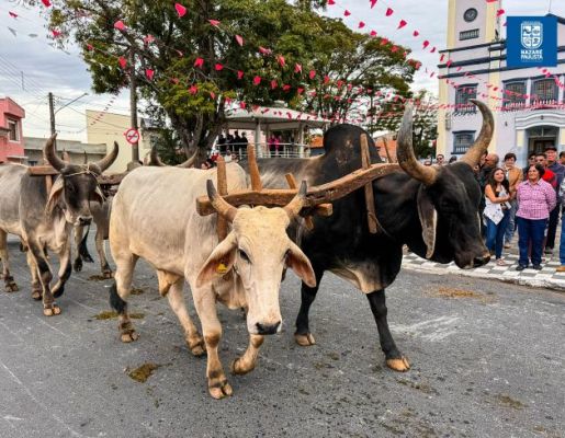 Foto - Chegada da Paçoca emociona Nazaré Paulista com fé, tradição e música no início da Festa do Divino 2025