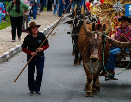 Foto - Chegada da Paçoca emociona Nazaré Paulista com fé, tradição e música no início da Festa do Divino 2025