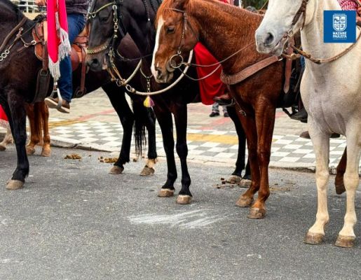 Foto - Chegada da Paçoca emociona Nazaré Paulista com fé, tradição e música no início da Festa do Divino 2025