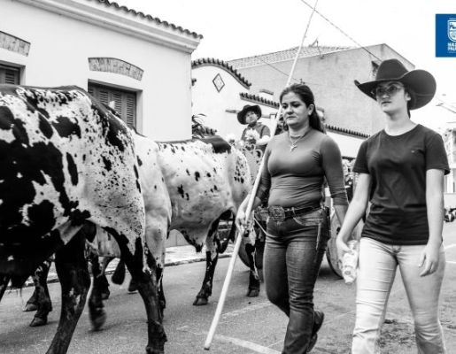 Foto - Chegada da Paçoca emociona Nazaré Paulista com fé, tradição e música no início da Festa do Divino 2025
