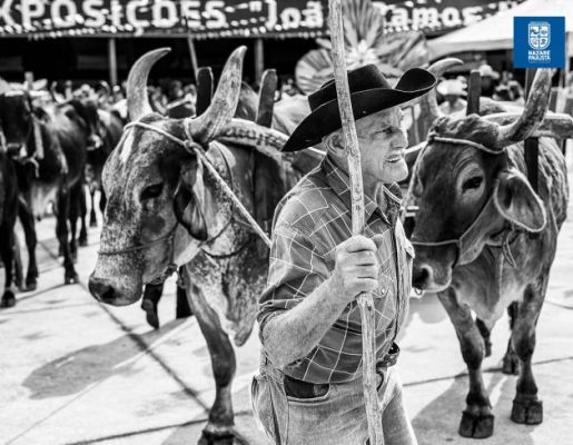 Foto - Chegada da Paçoca emociona Nazaré Paulista com fé, tradição e música no início da Festa do Divino 2025