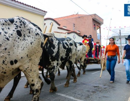 Foto - Chegada da Paçoca emociona Nazaré Paulista com fé, tradição e música no início da Festa do Divino 2025