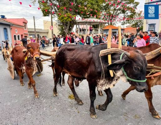 Foto - Chegada da Paçoca emociona Nazaré Paulista com fé, tradição e música no início da Festa do Divino 2025