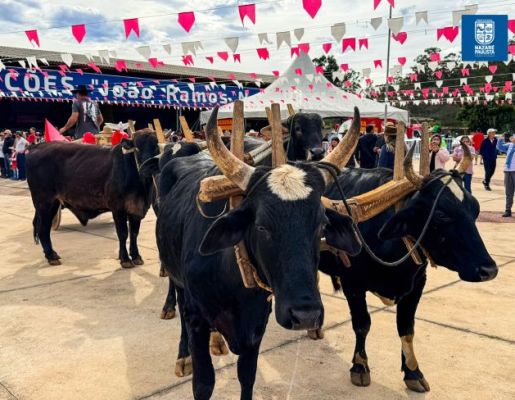 Foto - Chegada da Paçoca emociona Nazaré Paulista com fé, tradição e música no início da Festa do Divino 2025
