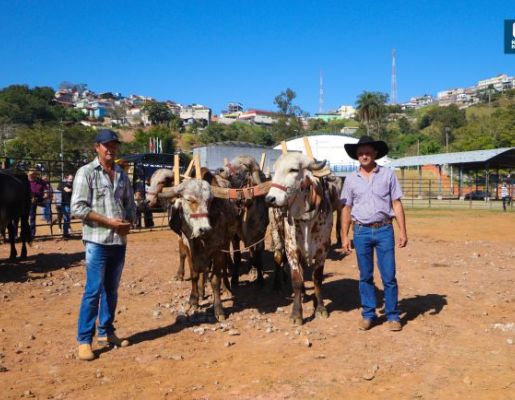 Foto - Chegada da Paçoca 2023