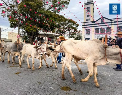 Foto - Chegada da Paçoca emociona Nazaré Paulista com fé, tradição e música no início da Festa do Divino 2025