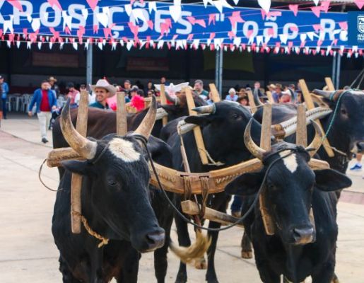 Foto - Chegada da Paçoca emociona Nazaré Paulista com fé, tradição e música no início da Festa do Divino 2025