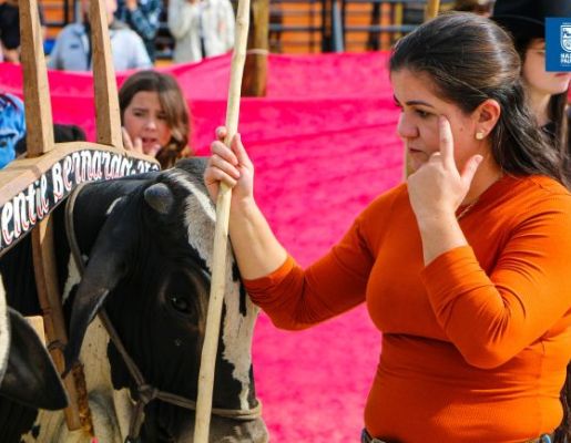 Foto - Chegada da Paçoca emociona Nazaré Paulista com fé, tradição e música no início da Festa do Divino 2025
