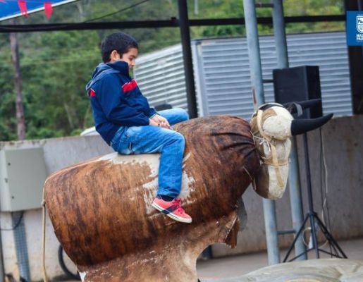 Foto - Chegada da Paçoca emociona Nazaré Paulista com fé, tradição e música no início da Festa do Divino 2025