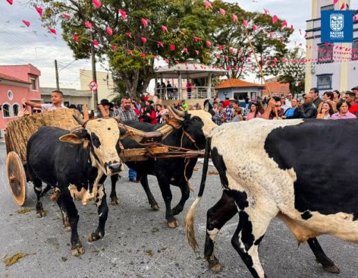 Foto - Chegada da Paçoca emociona Nazaré Paulista com fé, tradição e música no início da Festa do Divino 2025