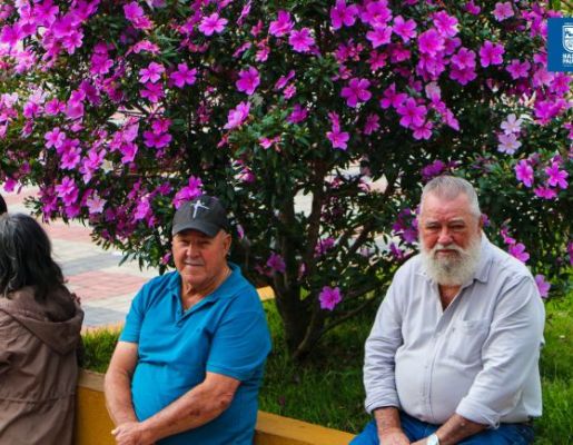 Foto - Chegada da Paçoca emociona Nazaré Paulista com fé, tradição e música no início da Festa do Divino 2025