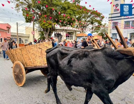 Foto - Chegada da Paçoca emociona Nazaré Paulista com fé, tradição e música no início da Festa do Divino 2025