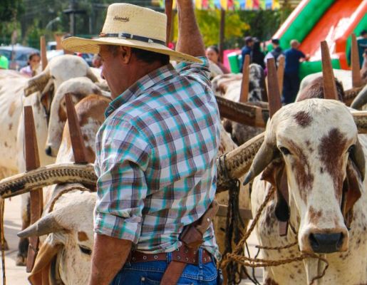 Foto - Chegada da Paçoca emociona Nazaré Paulista com fé, tradição e música no início da Festa do Divino 2025