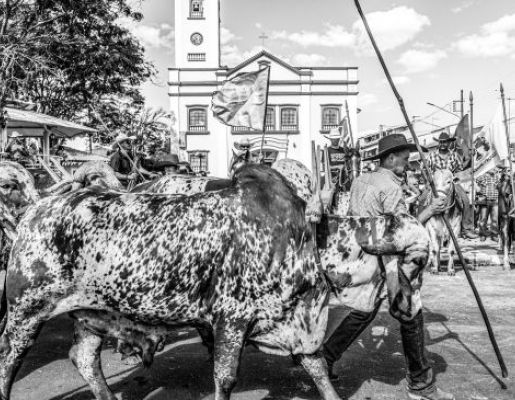 Foto - Chegada da Paçoca 2023