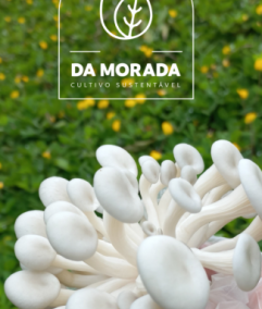 Foto - Da Morada